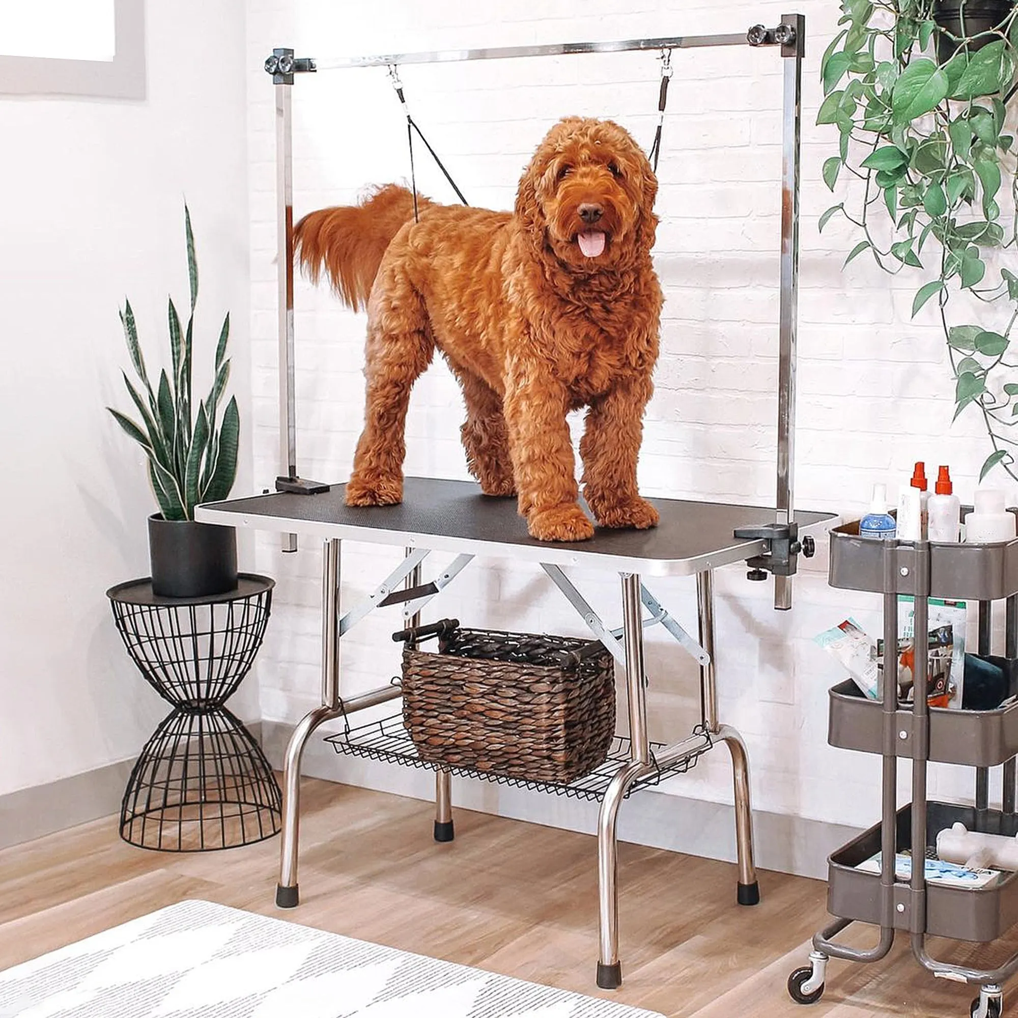 Adjustable Dog Grooming Table Rubber Top 2 Safety Slings Mesh Storage Basket Heavy Metal Black 107 x 60 x 170cm