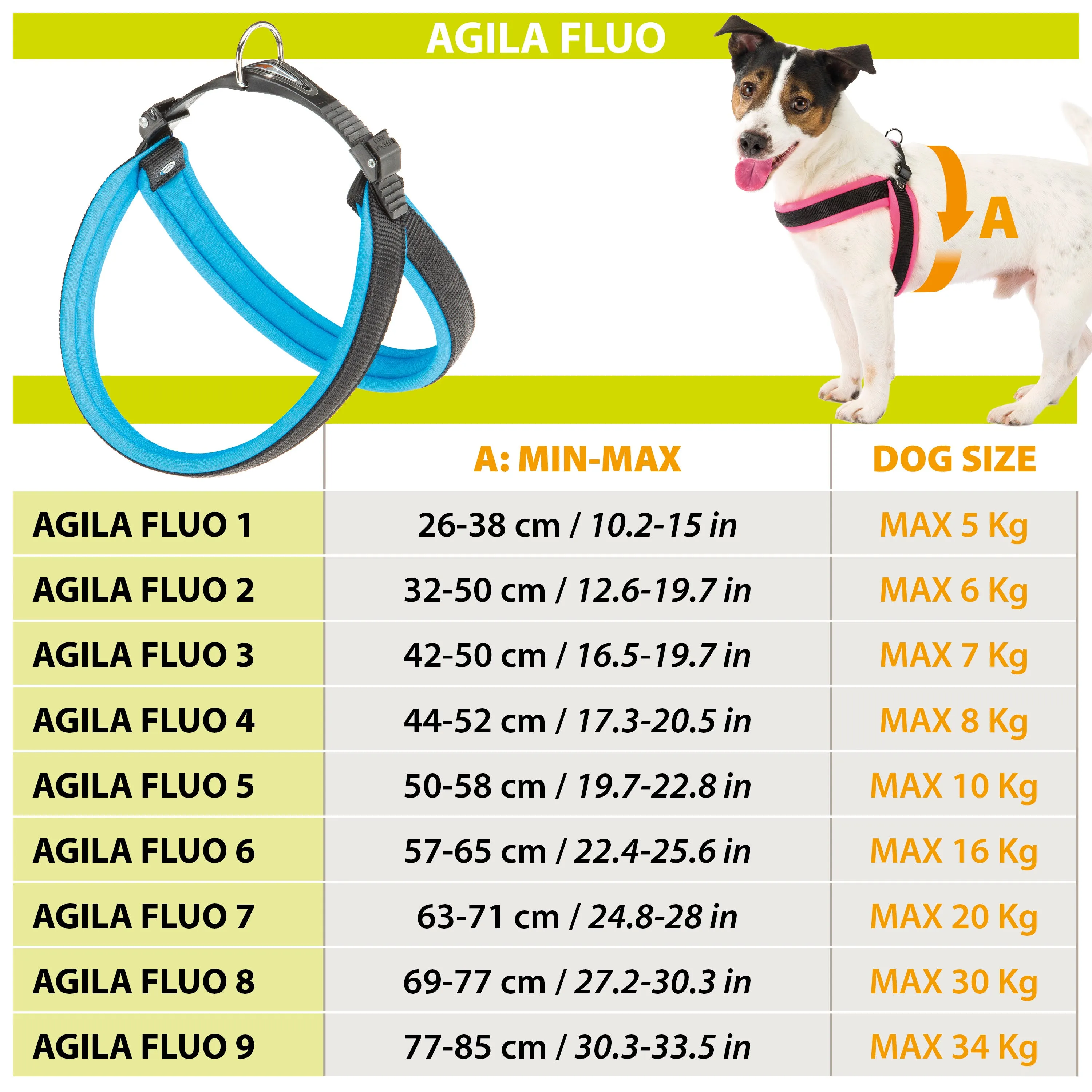 AGILA FLUO 1-2