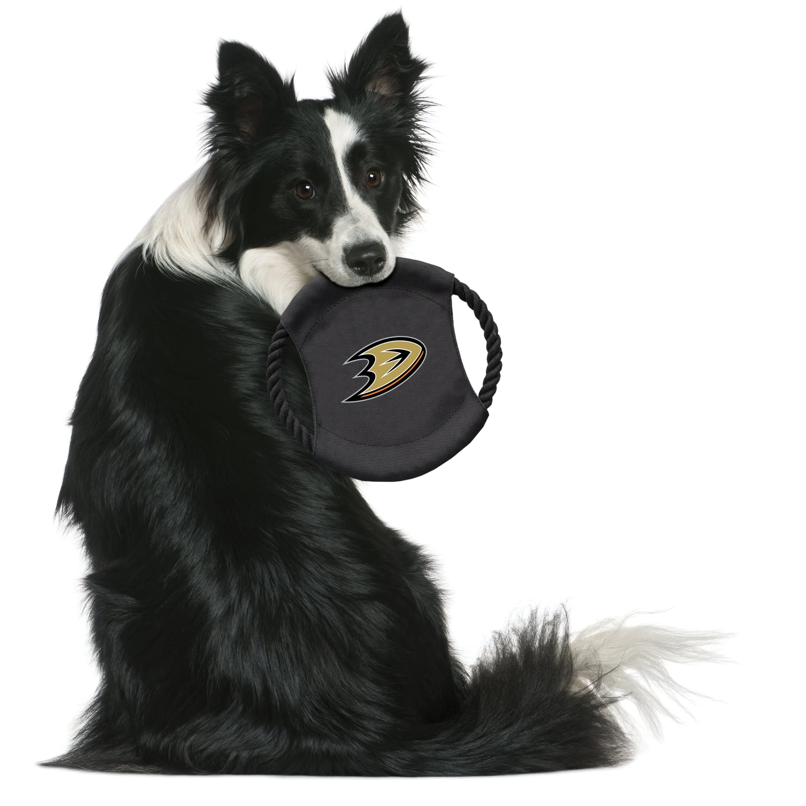 Anaheim Ducks Team Flying Disc Pet Toy