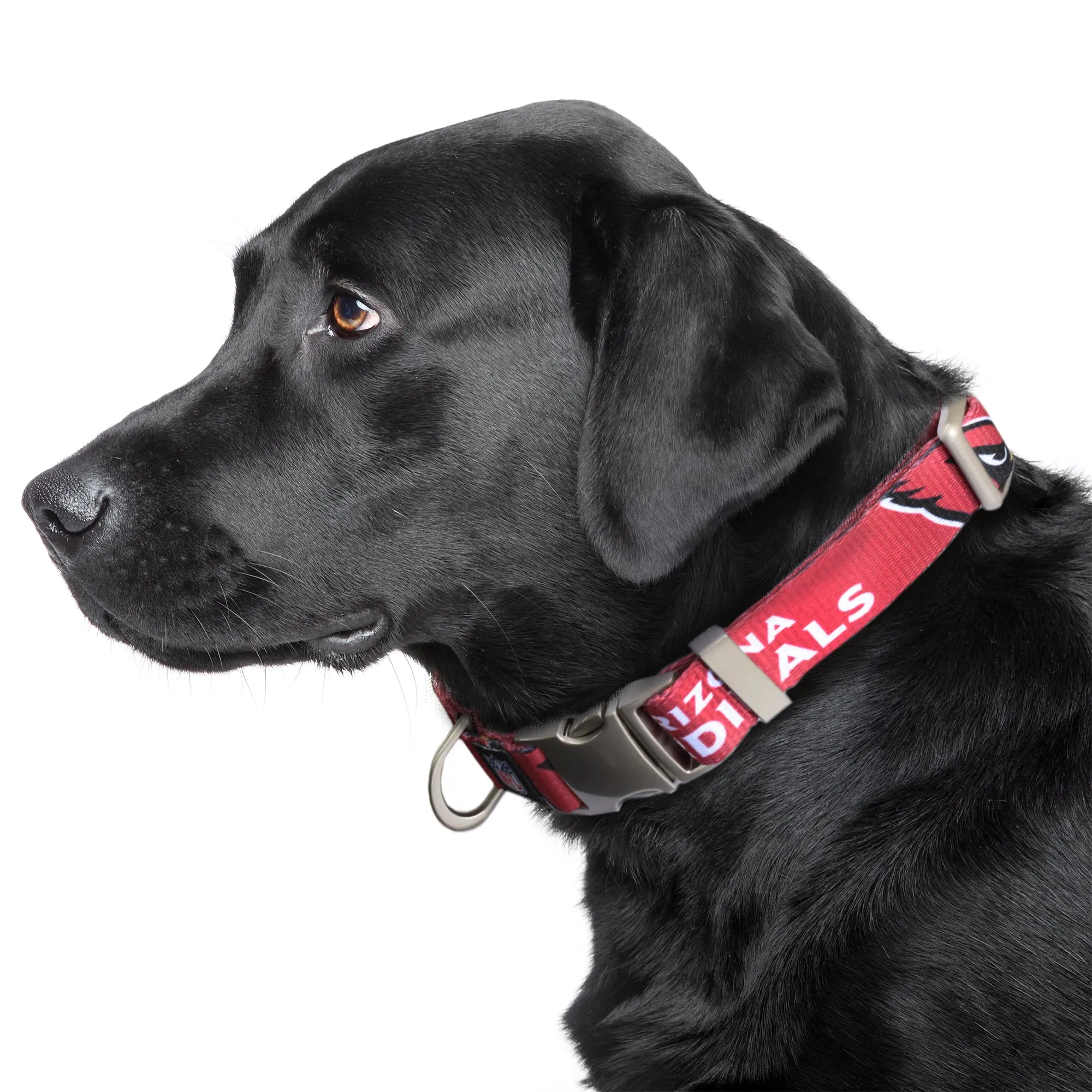 Arizona Cardinals Premium Pet Collar