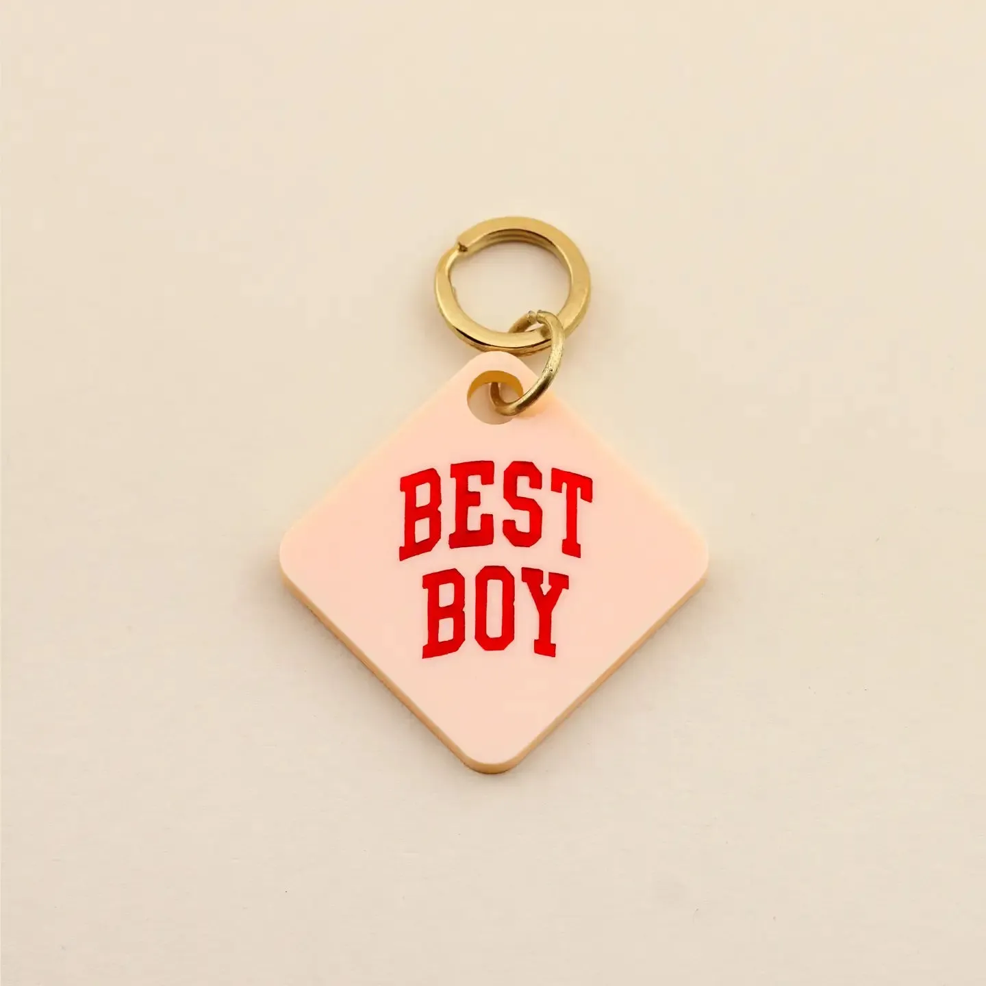 Best Boy Pet Tag