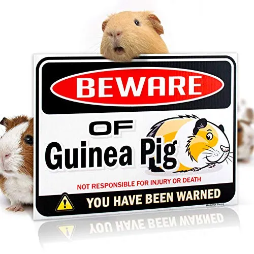 Bigtime Signs Beware of Guinea Pig Warning Sign - 9 inch x 12 inch - Danger Sign Funny Gag