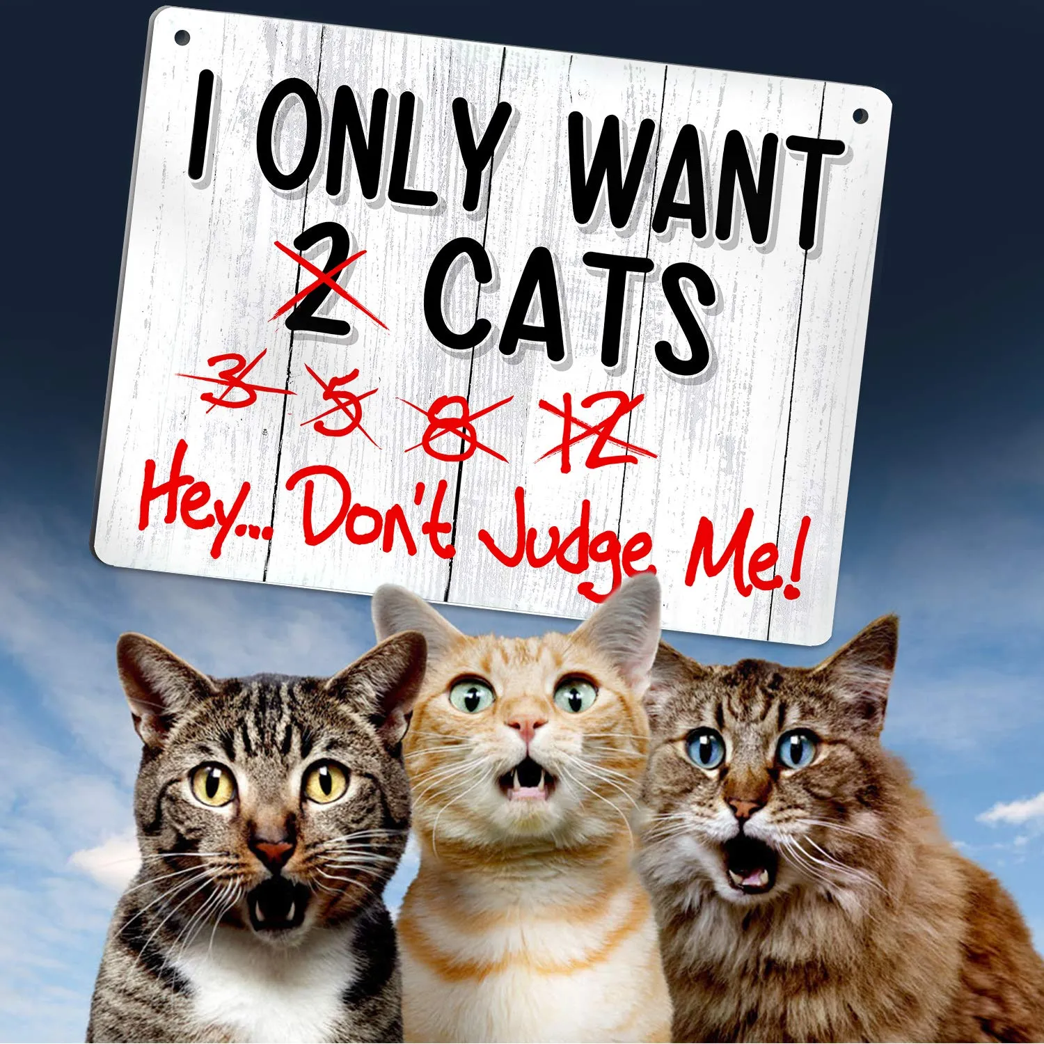 Bigtime Signs I Only Want Cats - Funny Farm, Home, Kitchen, Outdoor, Kitten and House