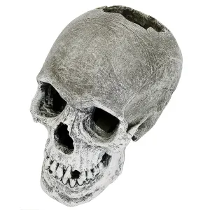 Blue Ribbon Exotic Environments Lifelike Human Skull Tank Accessory