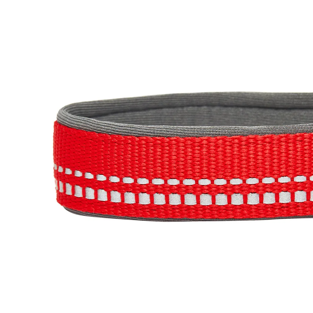 Blueberry Pet Soft & Comfy 3M Red Reflective Padded Dog Collar