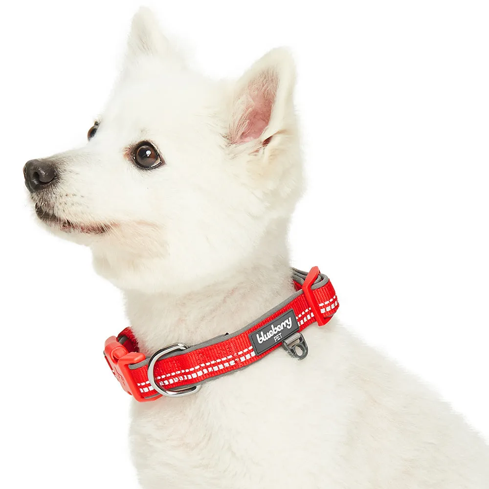 Blueberry Pet Soft & Comfy 3M Red Reflective Padded Dog Collar