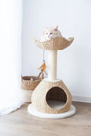 Cat Activity Tree | Walk-Up Natural