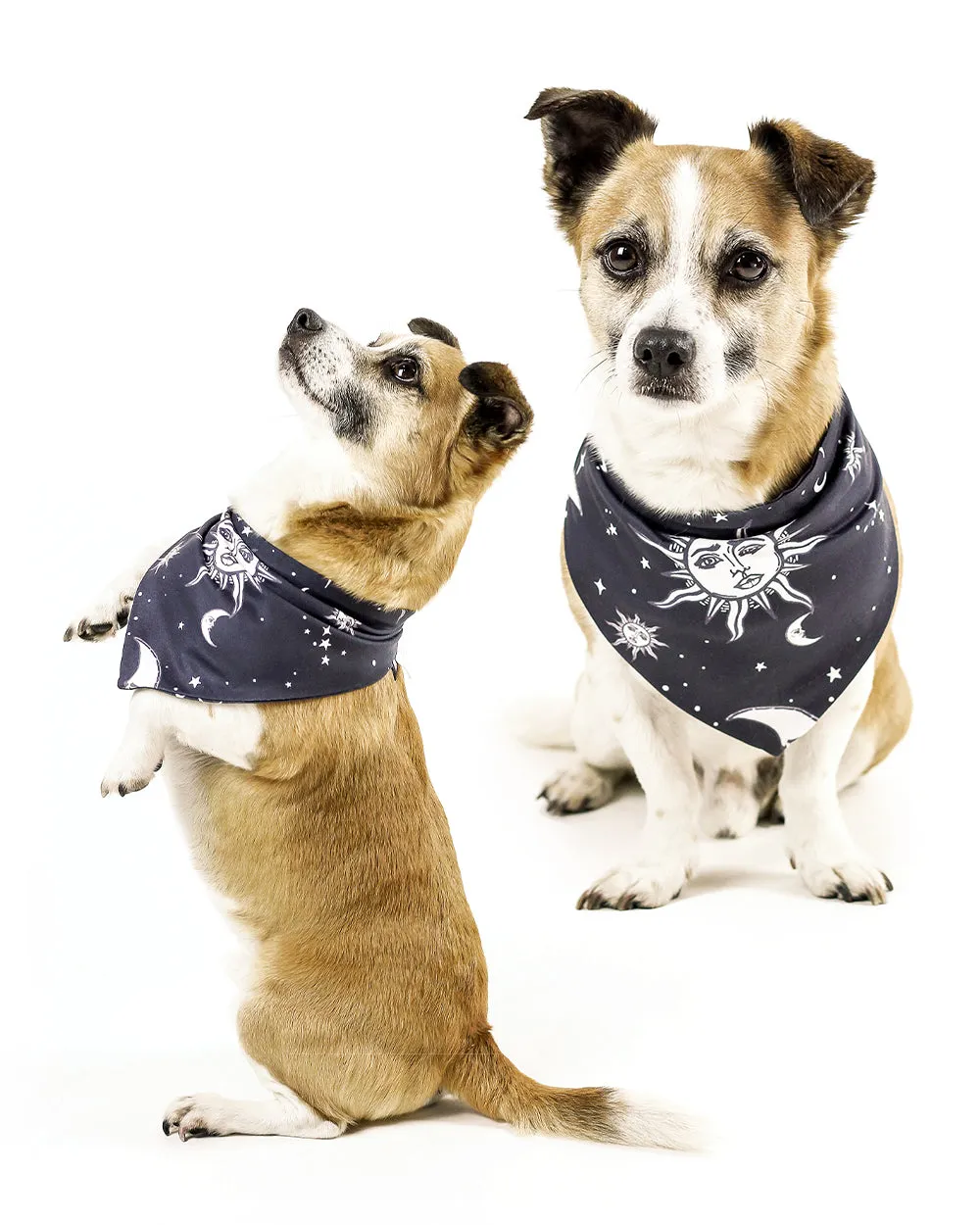 Celestial Pet Bandana - Dog or Cat