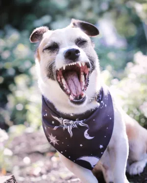 Celestial Pet Bandana - Dog or Cat