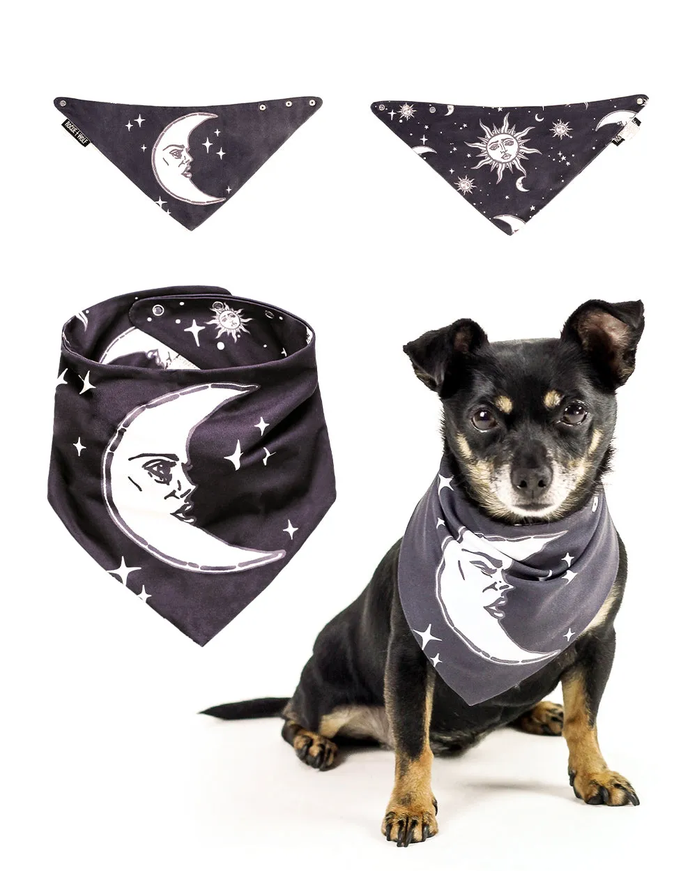 Celestial Pet Bandana - Dog or Cat