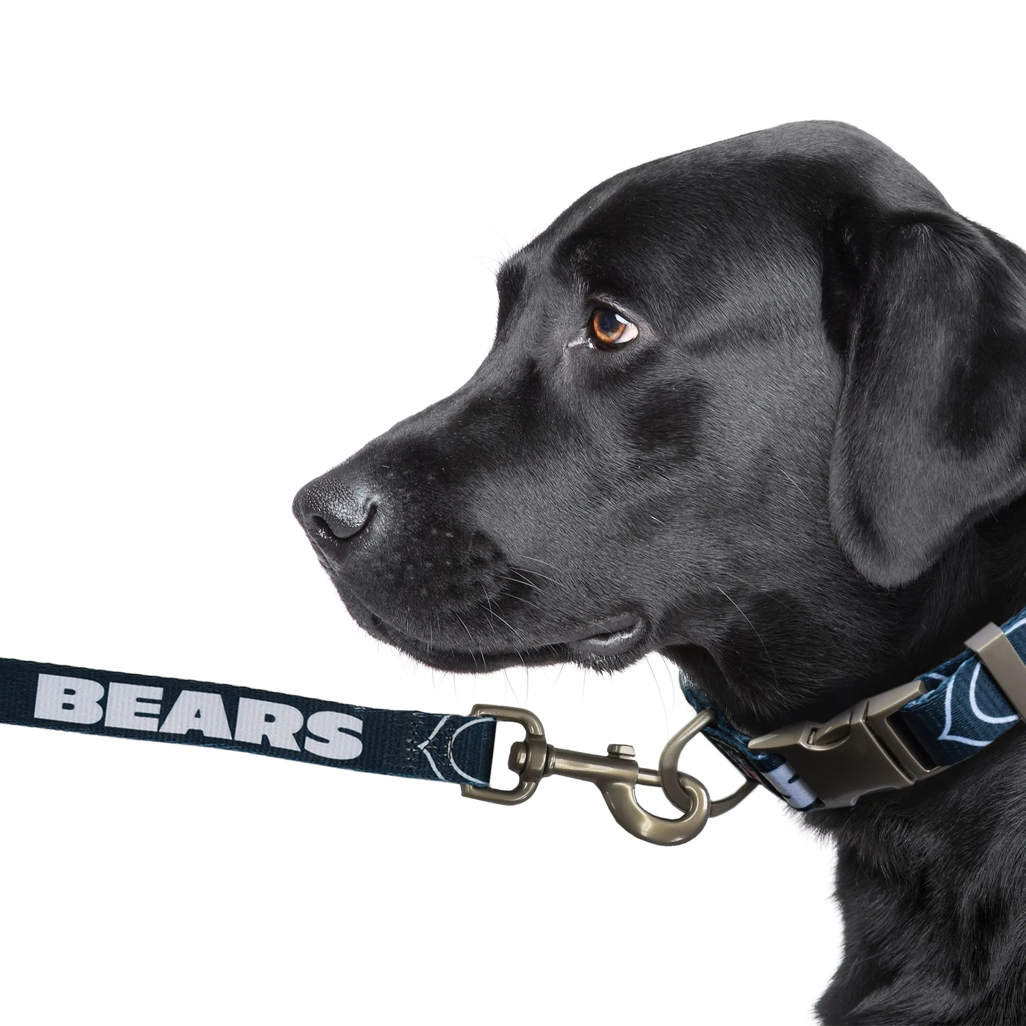 Chicago Bears Premium Pet Lead