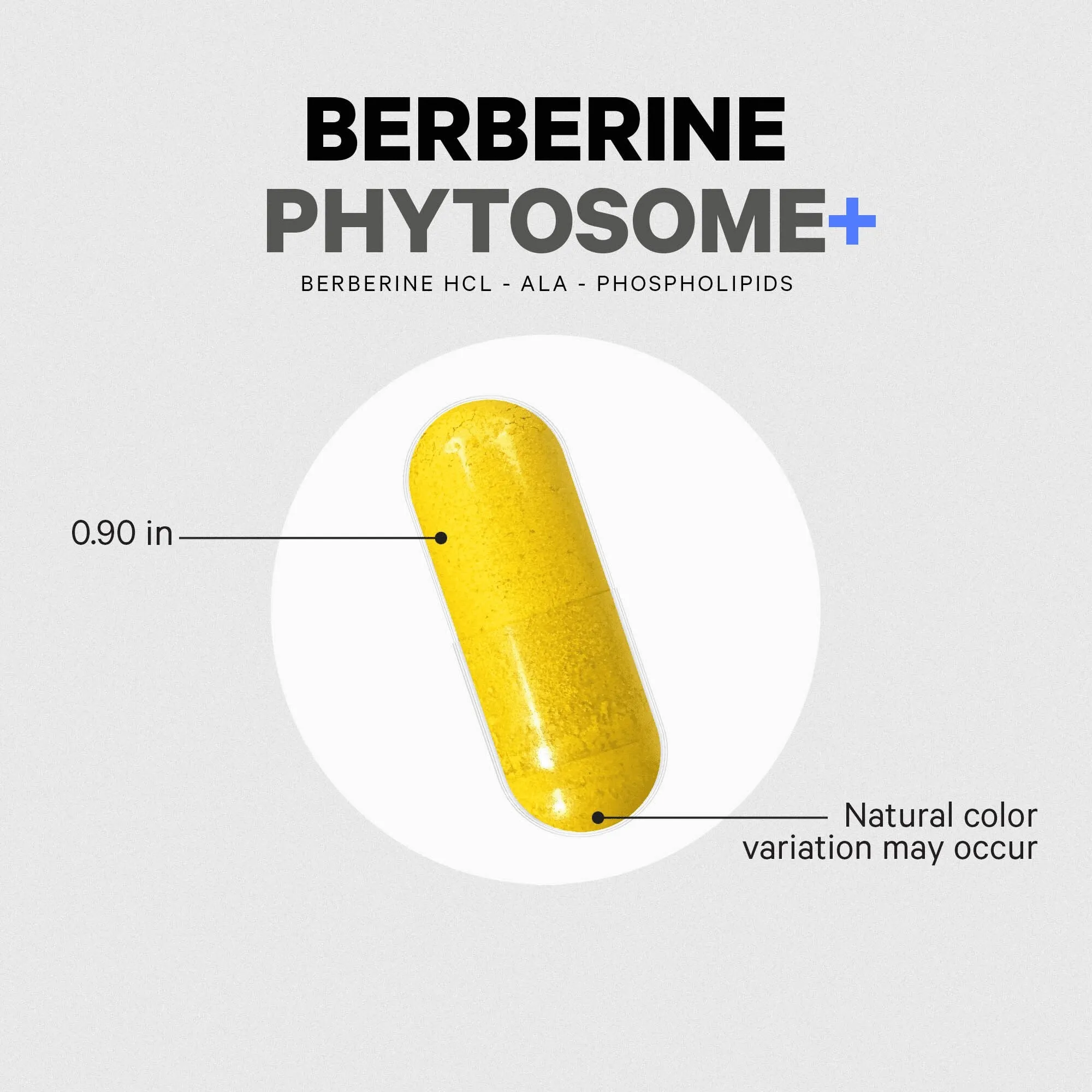 Codeage Berberine Phytosome 