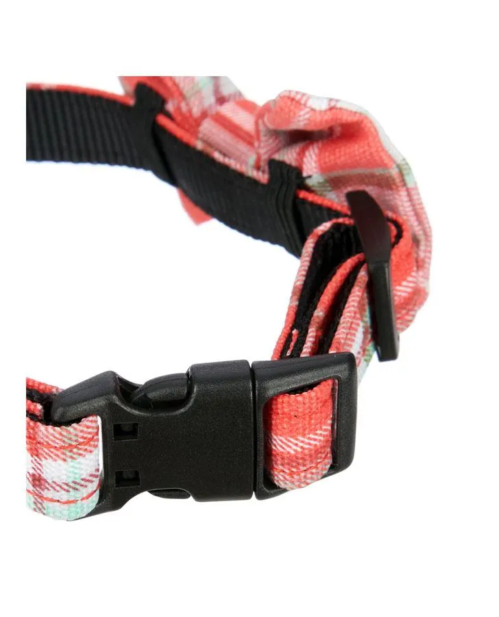 Dogs on Parade Small Dog Collar