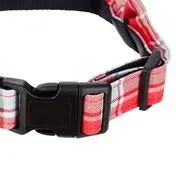 Dogs on Parade Small Dog Collar