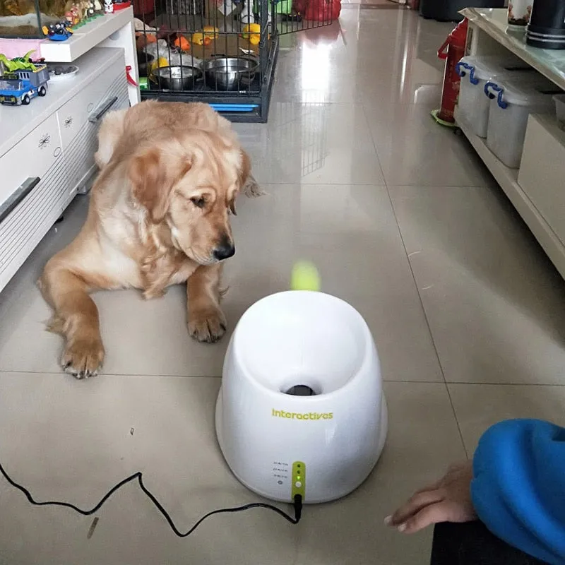 Exciting Automatic Ball Launcher for your Dog, Interactive Play Toy for Pet Owners, Active Dogs Fun Pet Exercise