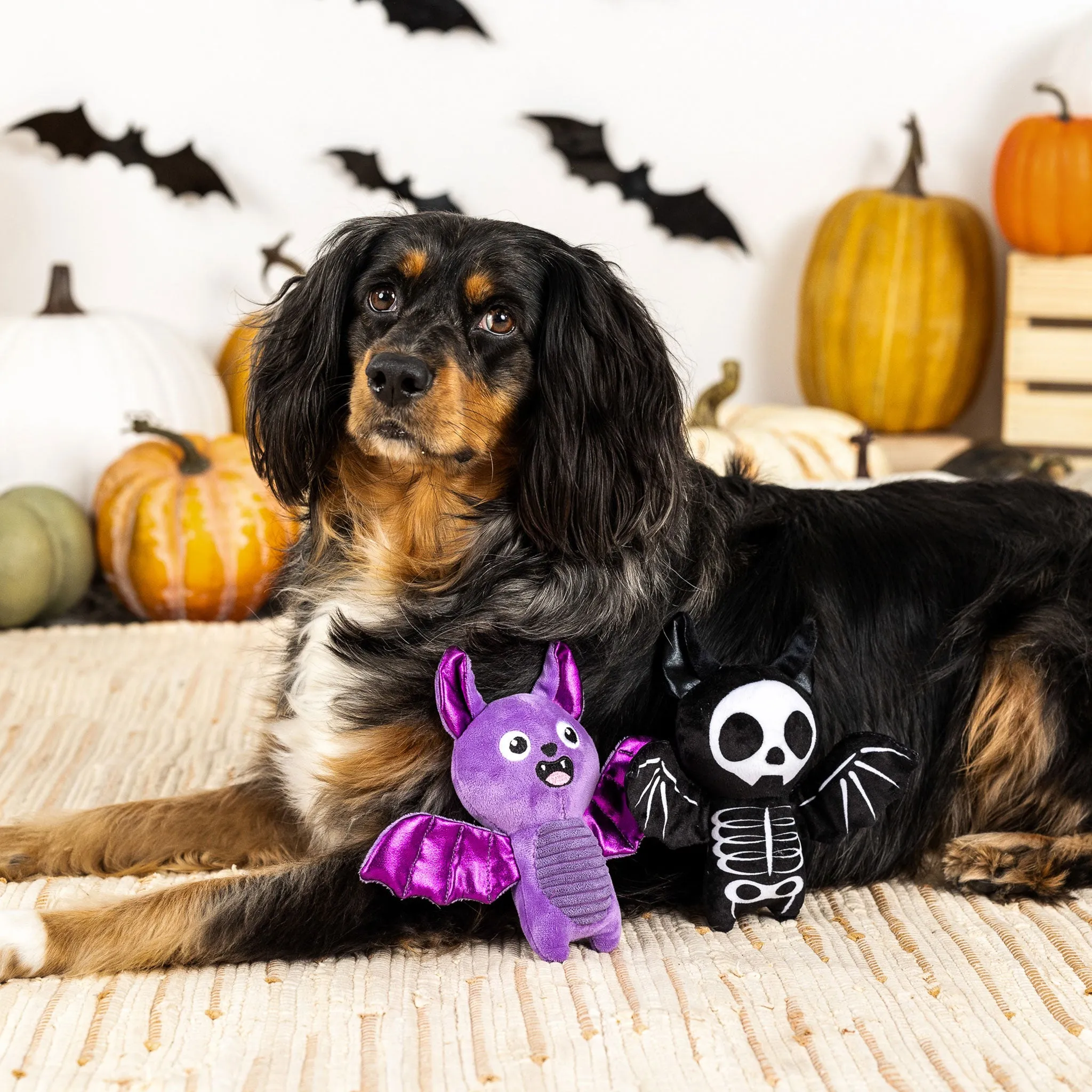 Fringe Bat to the Bone Dog Toys