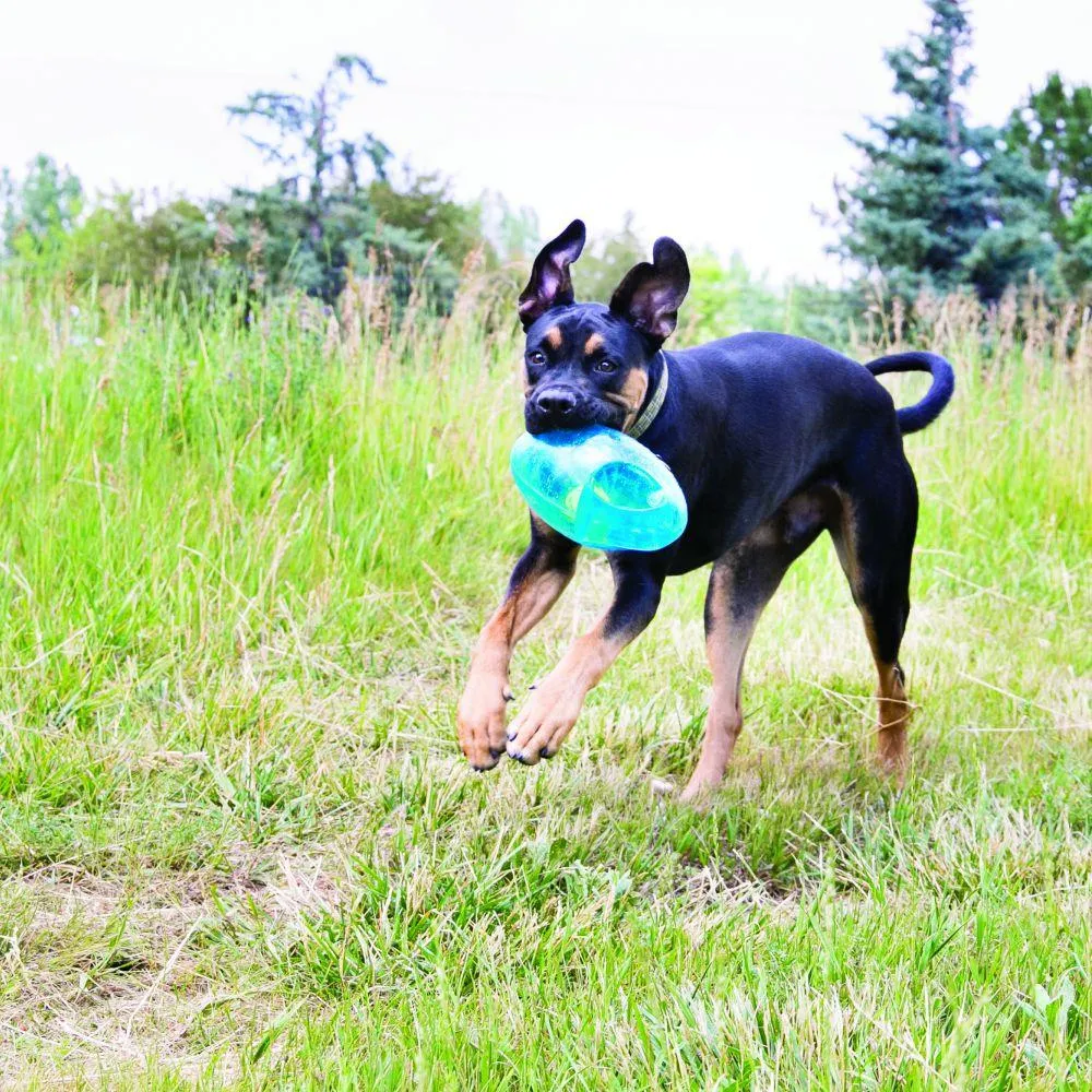 KONG Jumbler Football Dog Toy (LG/XL)