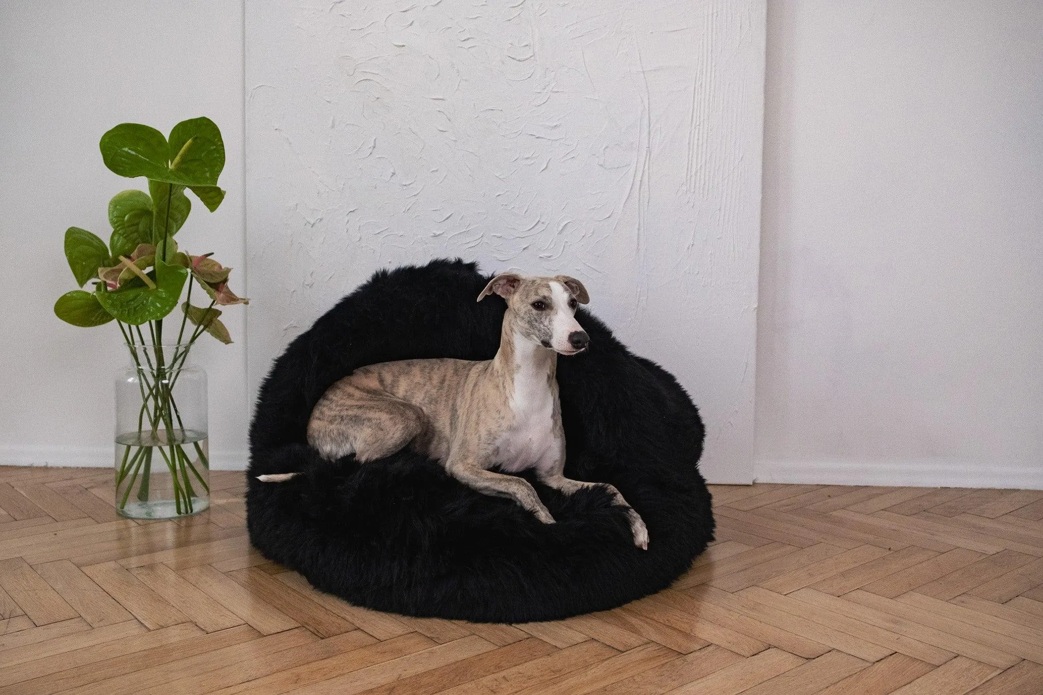 Natural Sheepskin Pet Cave - Black