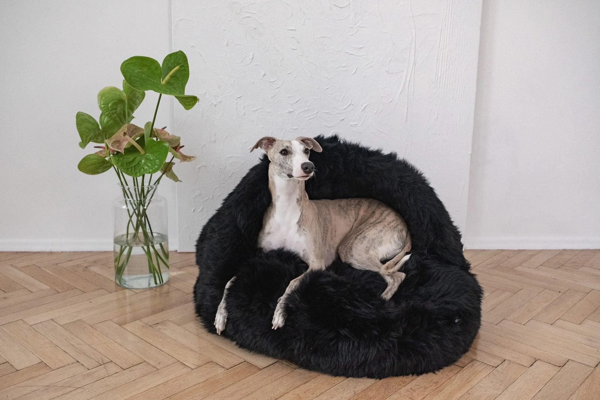 Natural Sheepskin Pet Cave - Black