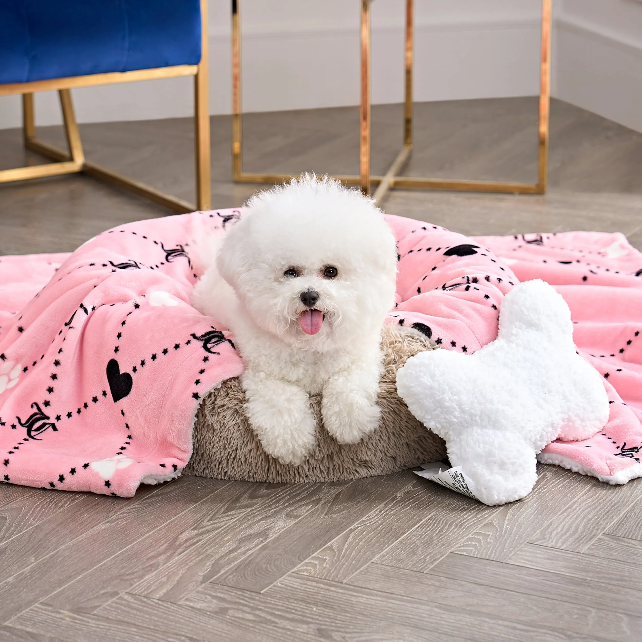 Pet Blanket & Pillow Set