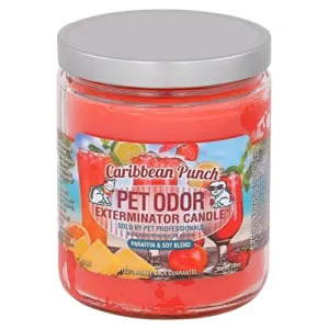 Pet Odor Exterminator Candle, Caribbean Punch, 13 oz