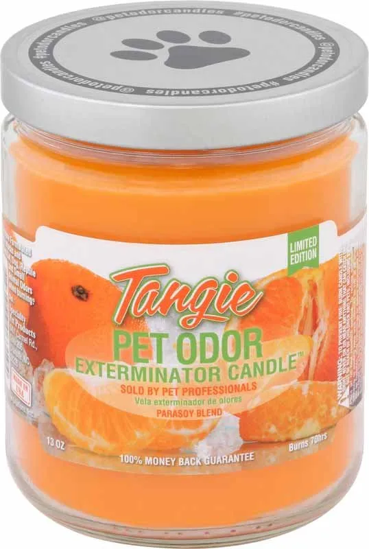 Pet Odor Exterminator Candle, Tangie, 13 oz