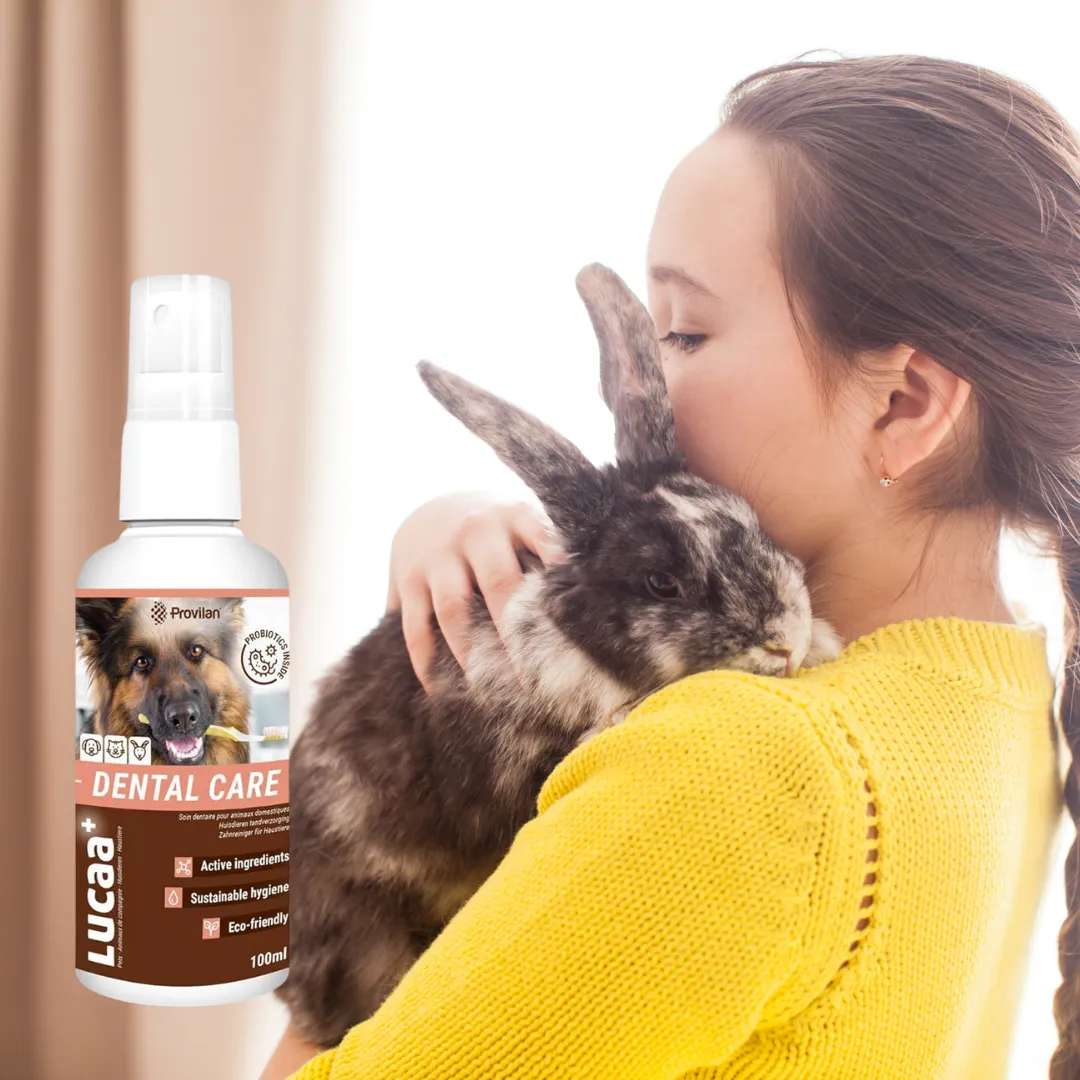 Probiotic Pet Dental Care | Provilan Lucca 