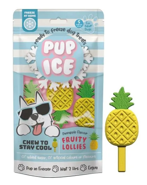 Pup Ice Fruity Lollies, 3pk