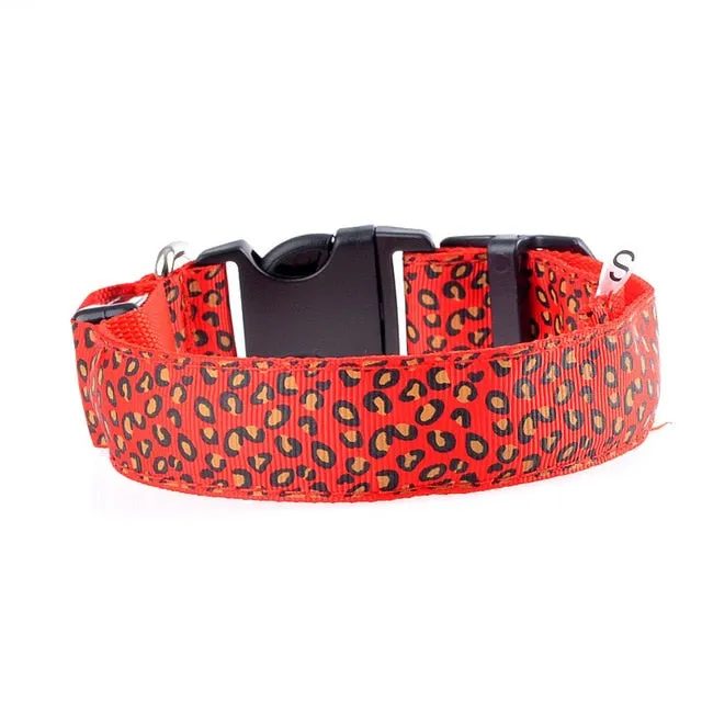 TEEK - Light Up Leopard LED Dog Collar