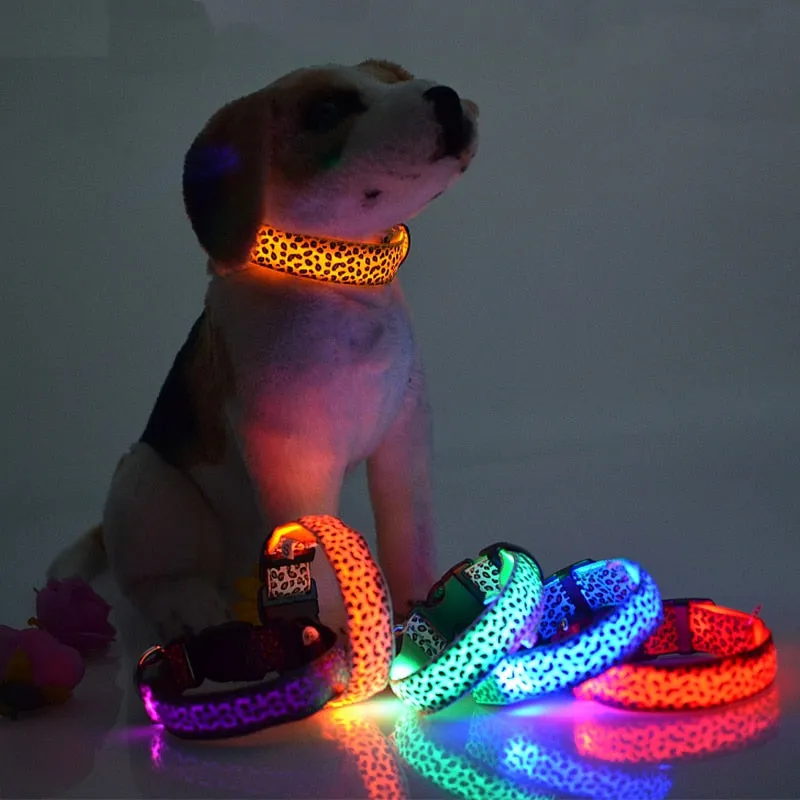 TEEK - Light Up Leopard LED Dog Collar