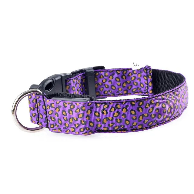 TEEK - Light Up Leopard LED Dog Collar