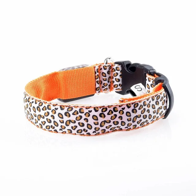 TEEK - Light Up Leopard LED Dog Collar